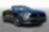 1FATP8UH6H5307975-2017-ford-mustang-1