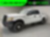 1FTFW1ET9DKG54944-2013-ford-f-150-0