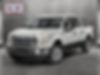 1FTEW1CP0FKE20275-2015-ford-f-150-2