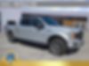 1FTEW1EP0KFD51989-2019-ford-f-150-0