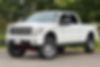 1FTFW1EFXBFB12641-2011-ford-f-150-1