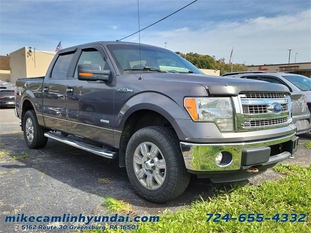 1FTFW1ET1DFD65761-2013-ford-f-150-0