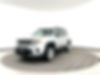 ZACNJDD12MPM33376-2021-jeep-renegade-2