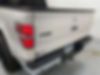 1FTFW1ET4DKG50686-2013-ford-f-150-2