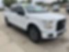1FTEW1EP3HFB33683-2017-ford-f-150-0
