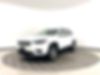 1C4PJMDX3LD621546-2020-jeep-cherokee-2