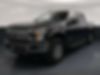 1FTEW1EP0KFD43987-2019-ford-f-150-0
