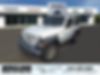 1C4GJXAN6LW228116-2020-jeep-wrangler