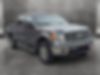 1FTFW1ET5DKG51216-2013-ford-f-150-2