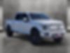 1FTEW1CP3KKD13537-2019-ford-f-150-2