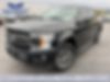 1FTEW1E50JFB82232-2018-ford-f-150-0