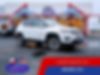 3C4NJDCBXMT573214-2021-jeep-compass-0