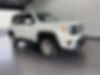 ZACNJBBBXKPK13691-2019-jeep-renegade-0