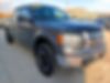 1FTFW1E80AFD20608-2010-ford-f-150-0