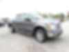 1FTFW1ET2DKD58440-2013-ford-f-150-0