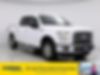 1FTEW1EP6GKF05443-2016-ford-f-150-0