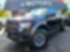 1FTFW1R6XBFD34798-2011-ford-f-150-0