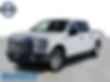 1FTEW1EP8HKC88303-2017-ford-f-150-0