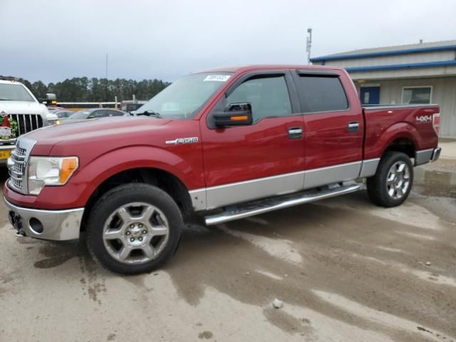 1FTFW1EFXDFC85224-2013-ford-f-150-0