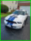 1ZVHT88S275335320-2007-ford-mustang-0