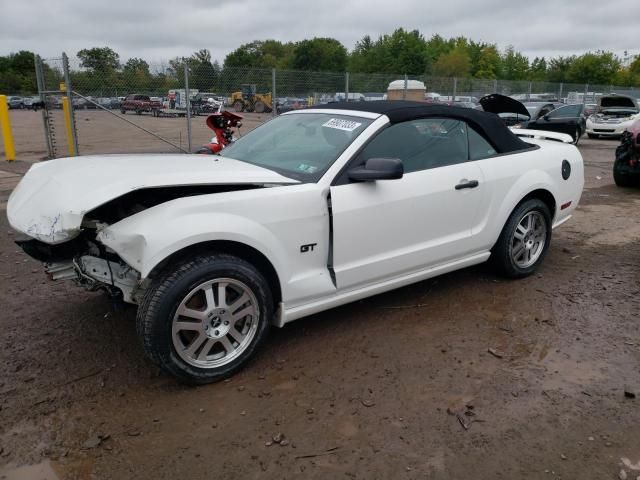 1ZVHT85H165191041-2006-ford-mustang