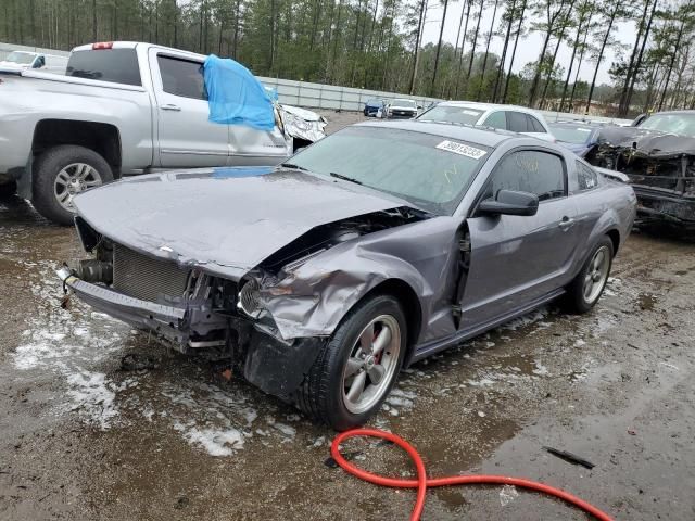 1ZVFT82H665170343-2006-ford-mustang