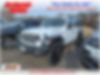 1C4HJXDN4LW122554-2020-jeep-wrangler-0