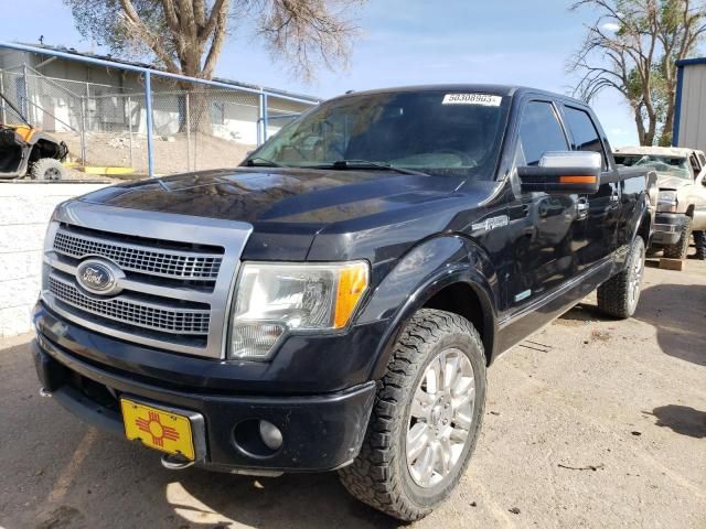 1FTFW1ET1CFB73190-2012-ford-f-150