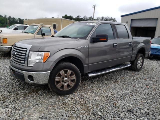 1FTFW1CF6CFC48530-2012-ford-f-150