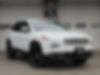 1C4PJMDSXEW300731-2014-jeep-cherokee-0