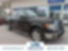 1FTFW1CT4DFB27342-2013-ford-f-150-0