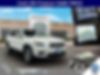 1C4PJMDX5LD641393-2020-jeep-cherokee-0