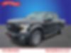 1FTEW1CP0GKF24864-2016-ford-f-150