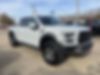 1FTFW1RG2HFC83184-2017-ford-f-150-0