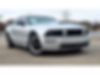 1ZVHT82H585132047-2008-ford-mustang-0