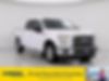 1FTEW1CP1HKC90798-2017-ford-f-150-0