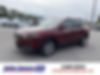 1C4PJLMX9MD150806-2021-jeep-cherokee-0
