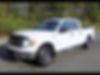 1FTFW1ET8BFC80817-2011-ford-f-150-0