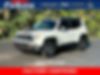 ZACNJDC19MPN29264-2021-jeep-renegade-0