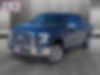 1FTEW1CPXFKF01901-2015-ford-f-150-0