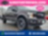 1FTEW1E58JFB22568-2018-ford-f-150-0