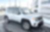 ZACNJBD11KPK43022-2019-jeep-renegade-1