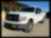 1FTFW1ET0DKG06670-2013-ford-f-150-0