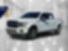 1FTEW1CP0KFA29923-2019-ford-f-150-0