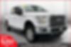 1FTEW1EP8GKD04739-2016-ford-f-150-0