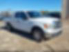1FTFX1CT6DFC76199-2013-ford-f-150
