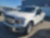 1FTEW1EP6JKF06373-2018-ford-f-150-0