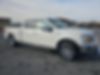 1FTFW1E45KFD39928-2019-ford-f-150-2