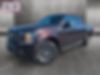 1FTEW1EP1JFB61438-2018-ford-f-150-0