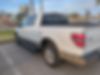 1FTFW1CT7BFB20625-2011-ford-f-150-2